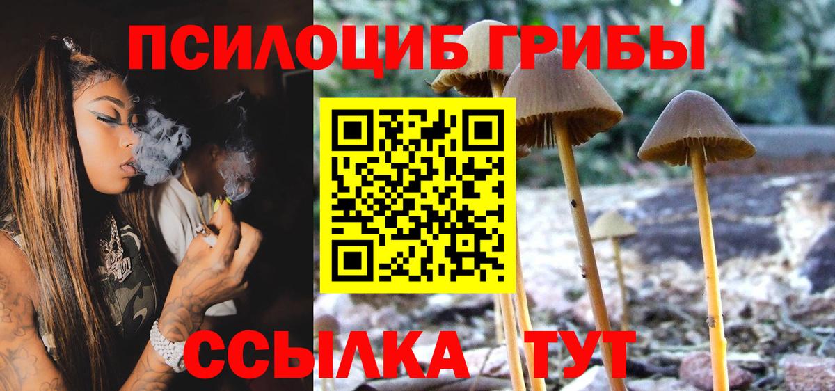 Балтийск  Галлюциногенные грибы мухоморы  Вход с VPN 
